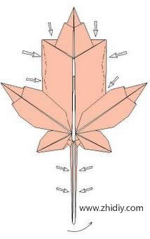 折纸枫叶教程