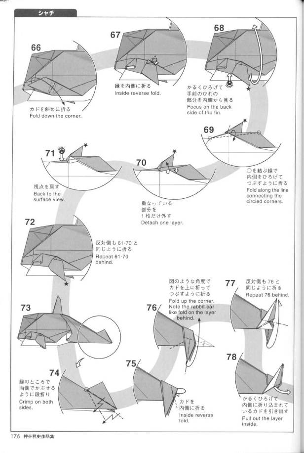 神谷哲史折纸海洋动物之虎鲸折纸图解教程