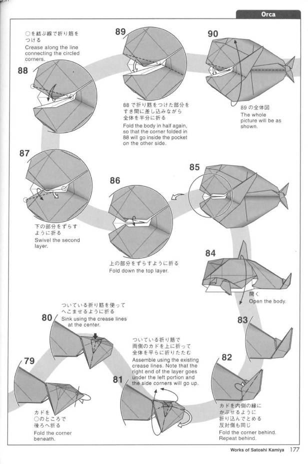 神谷哲史折纸海洋动物之虎鲸折纸图解教程