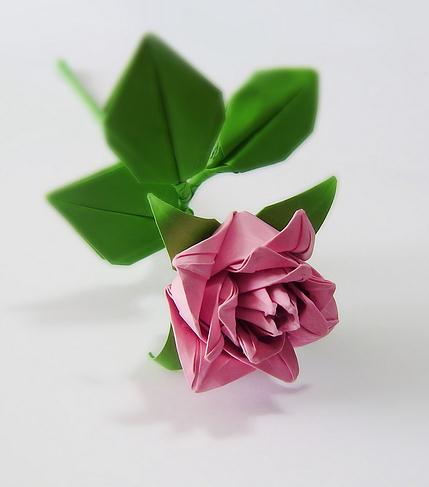 卷心折纸玫瑰花的折法图解教程手把手教你制作折纸玫瑰花