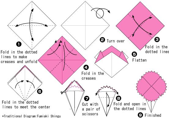 康乃馨的十二种折法图片